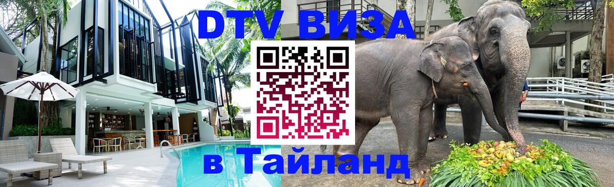 Цены на DTV визу в Таиланд — пакеты услуг, достаточно даже паспорта - 04.10.2025 